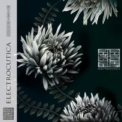 2025年最新】ELECTROCUTICA REVERSUSの人気アイテム - メルカリ