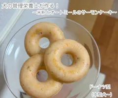 ‪☆手作り・無添加‪☆米粉とオートミールのサーモンケーキ