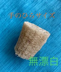 Item thumbnail for item b06a16d1-a14a-419e-b153-940e8086929b