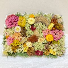 ミモザラウンドリースポポラス＆スターチスOR