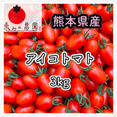 ＊熊本県産ミニトマト＊アイコトマト　3kg