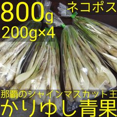 直売所コスパ最強〉沖縄県産Kおばーの島らっきょう 約5kg