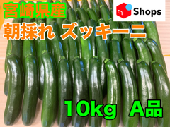 宮崎県産 ハウス栽培 朝採れ ズッキーニ 10キロ A品 美肌効果 免疫力アップ 便秘解消 血圧対策 ダイエット