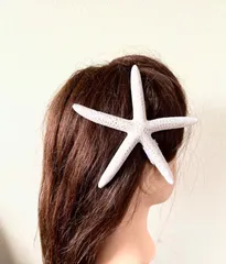 4個セット　フラダンス　リアルヒトデのヘアクリップ大サイズ　ハンドメイド　チームで