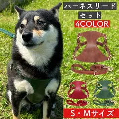 2024年最新】ハーネス 犬 革の人気アイテム - メルカリ