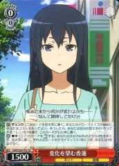 値下げ可能　ヴァイス　ガンゲイル　８宝　８門　扉　GGO　デッキ販売 値下げ可能 ヴァイス ガンゲイル 8宝 8門 扉 GGO デッキ販売