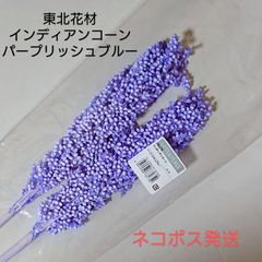 東北花材 インディアンコーン パープリッシュブルー 新品1束(2本)