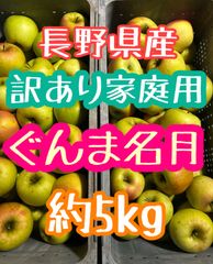 最安値！17日まで激安タイムセール！ぐんま名月5キロ　送料無料　ぐんま名月　サンフジ　美容健康　Apple 林檎