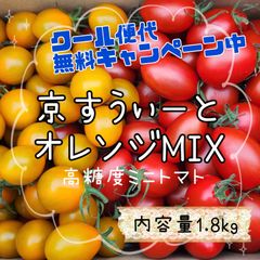 【京すうぃーと＆オレンジMIX】京都産 高糖度 フルーツミニトマト 内容量1.8kg