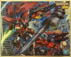 MG 1/100 ガンダムエピオン EW 未使用品 Amazon | MG 1/100 OZ-13MS ガンダムエピオン EW版 (新機動戦記