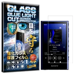 NW-A306 ブルー おまけ付 SONY WALKMAN NW-A306 ブルー Accessories : タワーレコード