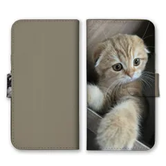 iPhone14 ケース 手帳型 アイフォン14 スマホケース 携帯ケース 猫 ネコ 白猫  スコティッシュフォールド マンチカン 写真 可愛い オシャレ おしゃれ くすみ ベージュ カラー05