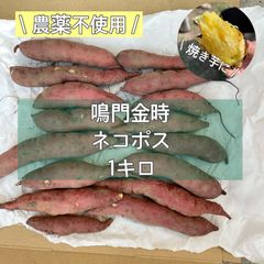 \10月下旬収穫/ さつまいも鳴門金時 ネコポス