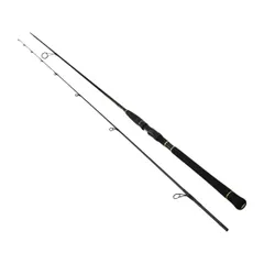 DAIWA - ダイワ　モアザン　ブランジーノ　97LMN ダイワ(Daiwa) モアザン ブランジーノ EX AGS 97ML/M 05800103