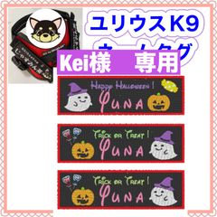 Kei様　専用　ユリウスk9 キロナイナー　犬用品　ネームタグ　刺繍名前ワッペン　ハロウィン　ハーネス名札　犬