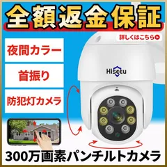 Hiseeu 1080P IPS 21.5インチ 監視用モニタ スピーカー付き 防犯モニタ