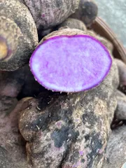 2023年最新】紫山芋の人気アイテム - メルカリ