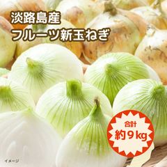 淡路島産「フルーツ新玉ねぎ」約9kgのサムネイル