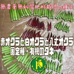 白オクラと赤オクラと八丈オクラのタネ　各20粒　無農薬無化学肥料栽培のタネ