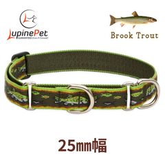 ハーフチョークカラー　おさかな柄Brook Trout　25mm幅　アメリカ製　軽量　丈夫　アメリカ直輸入　LUPINE ルパイン