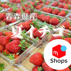 青森県産　夏イチゴ　４パックセット　1kg  いちご　苺