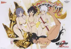 【中古】ポスター 描き下ろしB2ポスター(発売記念ver.) 集合 「PS4ソフト 閃乱カグラ Burst Re：Newal」 爆乳ハイパープレゼント抽選会 当選品