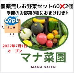 マナ菜園🥗農薬、化学肥料不使用。お野菜詰め合わせ60サイズ2個セット冷蔵便❄️
