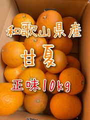 期間限定‼️[家庭用]和歌山県産 甘夏 正味10kg