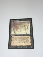 MTG Ashes to Ashes 英語版 DRK ザ・ダーク 黒枠