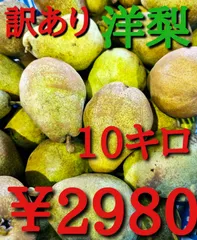 2024年最新】山形県産 洋梨 バラードの人気アイテム - メルカリ