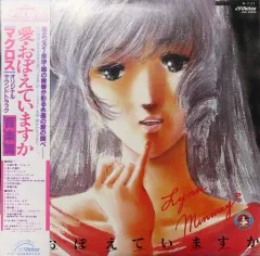 2025年最新】超時空要塞マクロス レコードの人気アイテム - メルカリ