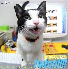 2024年最新】hatch!はっちゃん日記の人気アイテム - メルカリ