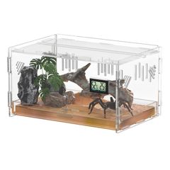 【迅速発送】トカゲ ケージ 爬虫類 ケージ 飼育ケース 温度湿度計付き 爬虫類テラリウムタンク 昆虫飼育ケース 透明 通気ケージ 給餌箱 飼育容器アクリル 換気が良い 給餌ケージ ボックス 亀 トカゲ ヤモリ 蜘蛛 サソリハリネズミ ヘビ カエル 小型ヘビなど