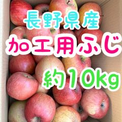 飲食店オーナー様必見🍎加工用ふじ約10kg🍎在庫が出来次第少しずつ出品になります。入荷希望リクエストする事により出品時通知されます。人気商品につきすぐ売り切れになってしまいご希望通り対応ができませんが何卒ご理解下さい。全国送料無料！ 長野県北信濃産サンフジ