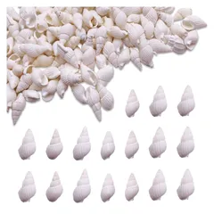 シェルパーツ 貝殻 17ー24ｍｍ ホワイト 大きめ 100個 巻貝 海 マリン レジン 封入 ハンドメイド アクセサリー パーツ BD4142