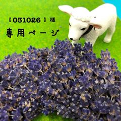 専用ページ【031026様】クリスマスリース