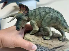 恐竜　ライフサイズ　フィギュア　検　サイドショウ　PAPO　ジュラシックパーク ジュラシック・パーク トリケラトプス | フィギュア | プライム