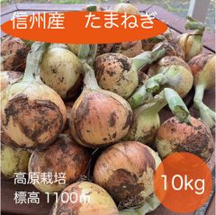 ヴォーノトマト3kg☆929 - メルカリ