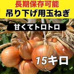 甘くてトロトロ‼️農家直送‼️吊るして長期保存可能‼️新玉ねぎ15キロ