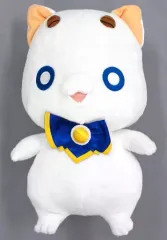 ARIA ふうりんふうマスコット　アリア社長　ARIAカンパニーver. ARIAカンパニー with アリア社長、アリシア＆灯里 (完成品