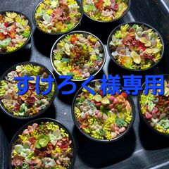 すけろく様専用