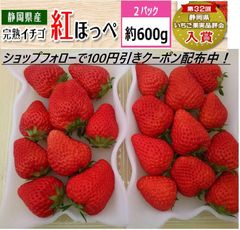 いちご（紅ほっぺ）DX300g2パック（2022年静岡県いちご果実品評会入賞） イチゴ　苺