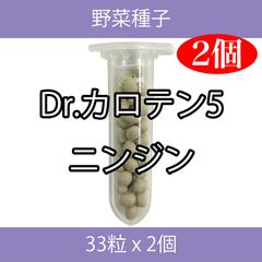 野菜種子 TVF02 Dr.カロテン5ニンジン 33粒 x 2個