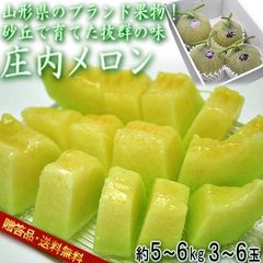 【予約：7/15～8/15予定】産地直送 庄内メロン 青肉限定 約5～6kg 3～6玉 山形県産 贈答規格 庄内砂丘で育てたこだわりの味！アンデスメロン中心