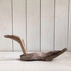 針原修 流木の鳥 ＜A＞ わざわざ サイン入り - メルカリ