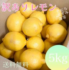 レモン　17キロ　カリフォルニア産　お値打ち　正規品 訳あり品 サンキストレモン 2kg フレッシュレモン