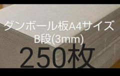 激安❗️超お得❗️ダンボールパットA4サイズ B段(３ミリ) 250枚