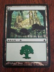 mtg 森 INV インベイジョン John Avon foil 日本語 旧枠 mtg INV 森 foil ドイツ語 中国語 インベイジョン JohnAvon - メルカリ