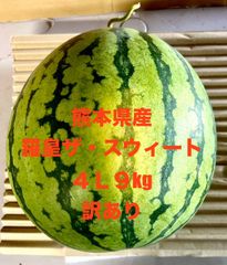 【産地直送・訳あり・大玉すいか赤果肉・６／１３以降発送可】熊本県産羅皇ザ・スウィート　４L　１玉　訳あり品　優品