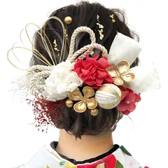 【数量限定】七五三 卒業式 浴衣 着物 袴 振袖 あじさい 結婚式 ヘッドパーツ かすみ草 水引 成人式 和装 ヘアアクセサリー 和玉 造花飾り 赤 造花 ダリア 手作り 髪飾りドライフラワー 専用ケース付き [JZOON] B2246